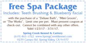 Free Spa Package